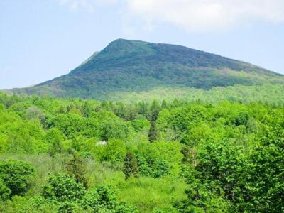 Caloroczne Domki Zacisze Hnatowego Berda W Wetlinie Wetlina Exterior foto